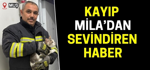 4 gündür kayıp olan kedi Mila bulundu