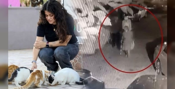 Antalya'da kedilere vahşet! Bastonla ölüm, güvenlik kamerası kayıtlara geçti!