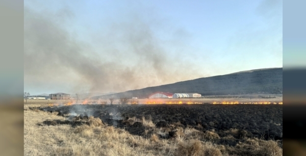 Ardahan'da Putka Gölü'nde yangın: Ekipler müdahale ediyor