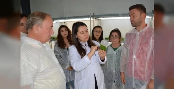 BAÇEM'in bitki doku kültürü kursuna ilgi büyük