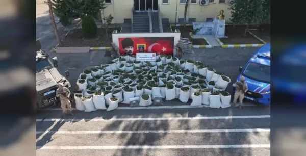 Diyarbakır'da 2 ton esrar yakalandı