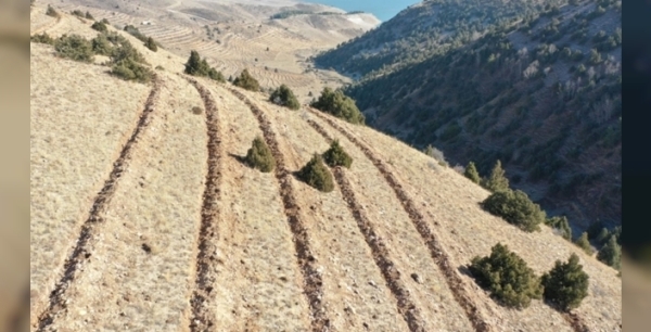 Doğu Anadolu'da yeşil seferberlik: 9 milyon fidan ve tohum toprakla buluştu