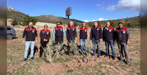 Ispartada Tuz Çalısı ile Hayvancılıkta Yeni Bir Dönem Başlıyor