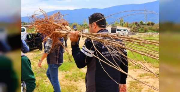 İzmir'den çiftçilere çifte destek: İpekböcekçiliği ve kestane üretimi için projeler