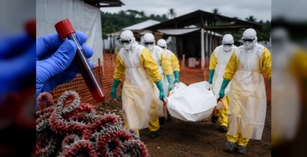 Kongo'da Ebola kabusu: Ölü sayısı 967'ye fırladı, 'Bundibugyo' varyantı dehşet saçıyor