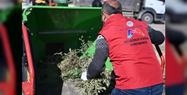 Mersin'den dev adım: 835 ton atık doğaya geri kazandırıldı, kompost üretimiyle fark yaratıyor