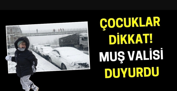 Muş'ta kar tatili: Okullar bir günlüğüne tatil edildi