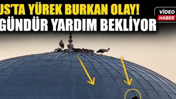 Muş'ta Yürek Burkan Olay! 2 Gündür Yardım Bekliyor