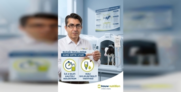 Trouw Nutrition'dan Buzağı Ölümlerini Önleyecek Kritik Adım: Kaliteli Kolostrum