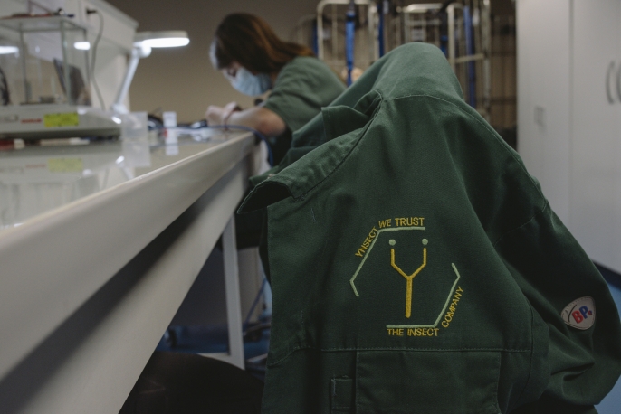 Böcek çiftçiliğinde çığır açan Fransız şirket Ÿnsect, 600 milyon dolardan fazla yatırım almasına rağmen iflas etti