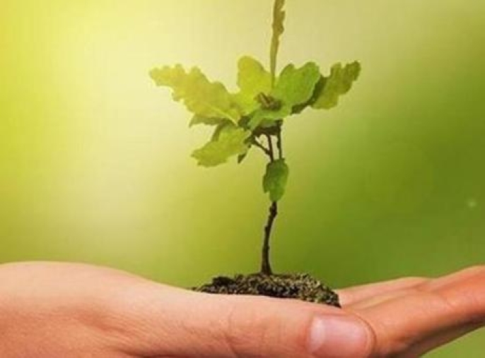 COP30'da yeşil sanayi fırtınası: Türkiye COP31'de dev adım atmaya hazırlanıyor