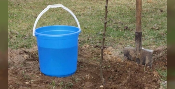 Almanya'da bahçesine kova koyan dikkat! Polis kapınıza dayanabilir