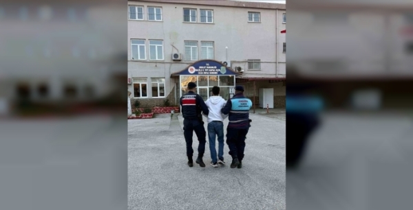 Aydın'da jandarmadan başarılı operasyon: İki aranan şahıs yakalandı