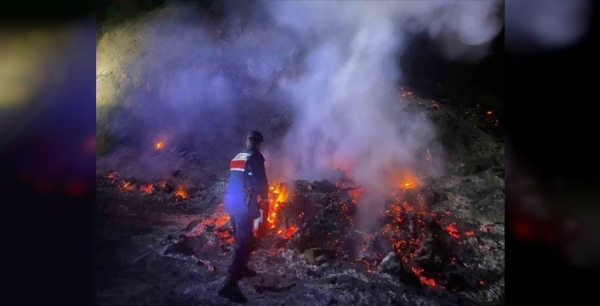 Bilecik'te gece yarısı otluk alanda çıkan yangın, ekiplerin anında müdahalesiyle büyümeden söndürüldü