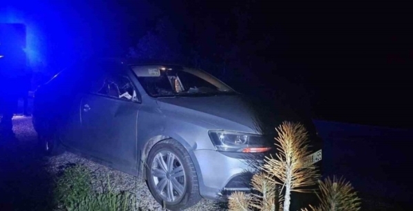 Bilecik'te otomobile geyik çarptı: İki kişi yaralandı