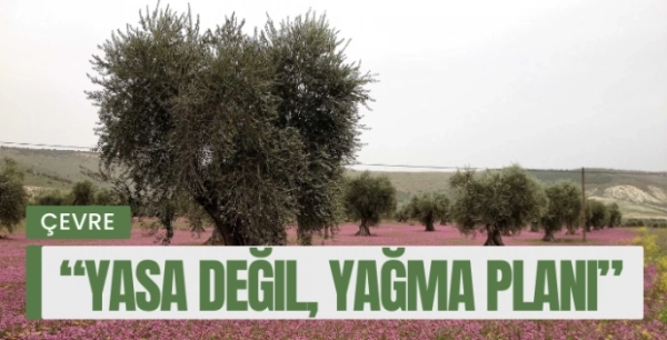 Bodrum Kent Konseyi’nden TBMM’ye Sert Uyarı: “Doğa Ranta Kurban Edilemez!”
