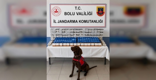 Bolu'da kaçakçılık operasyonu: 9 bin 700 makaron ele geçirildi