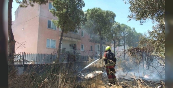 Burhaniye'de zeytinliğe sıçrayan ot yangını polis merkezini tehdit etti, karakol boşaltıldı