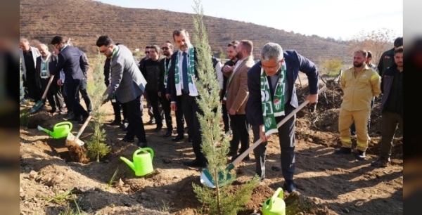 Bursaspor'dan Gürsu'ya yeşil umut: Yangın yıkımını fidanlarla onarıyor!