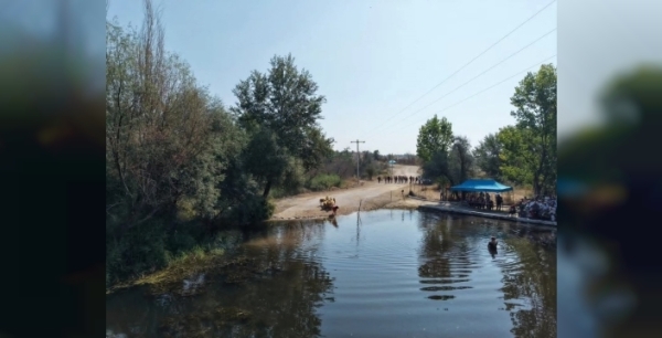 Çal'da 853 yıllık koyun geçirme festivali yapıldı