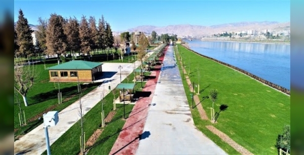 Cizre'de parkta uygunsuz davranış sergileyenler gözaltına alındı