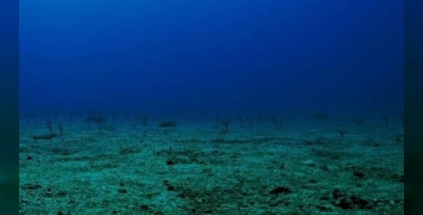 Denizlerin derinliklerinde 3 milyon yıllık volkan keşfi: Bilim dünyasını şaşırttı