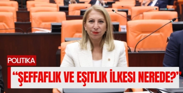Derici İLBANK Kaynaklarını Meclis Gündemine Taşıdı: “Şeffaflık ve Eşitlik İlkesi Nerede?”