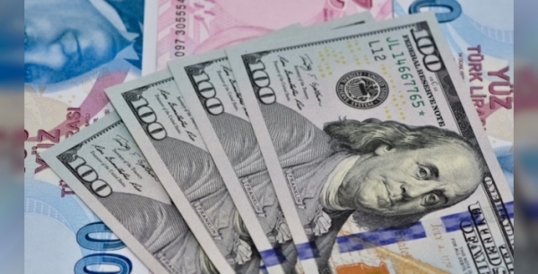 Döviz talebi artıyor: Türk lirasını bekleyen tehlikeler neler?