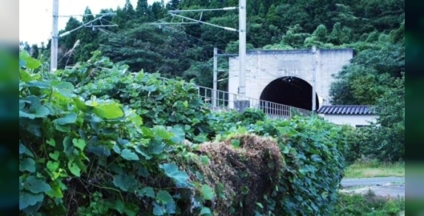 Dünyanın en uzun tüneli Seikan, 24 yılın ardından tamamlandı