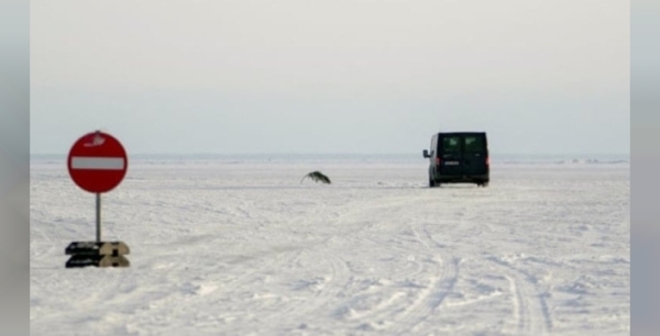 Estonya'da donan deniz, iki ada arasında ulaşım koridoru açtı