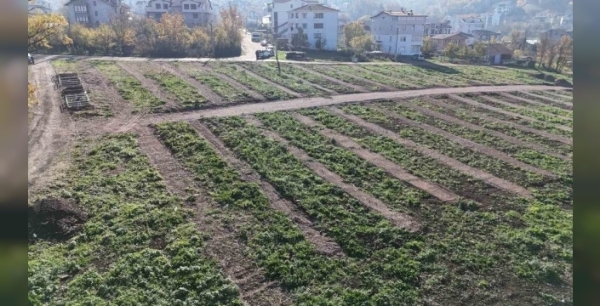 Gölcük'te yeni mezarlık alanları faaliyete geçti