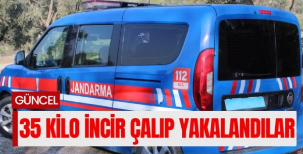 İncir hırsızı 4 şüpheli suçüstü yakalandı