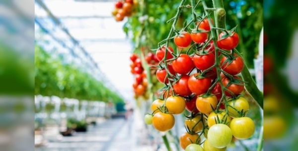 Jeotermal sektörü, yeni JEKA modeli için çağrıda bulundu