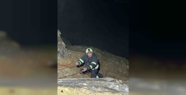 Kocaeli'de kayalıklara mahsur kalan keçiler, itfaiye tarafından kurtarıldı