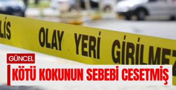Kötü kokuların yayıldığı daireden 5 günlük cenaze çıktı