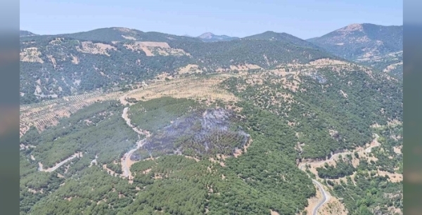 Kuyucak'ta korkutan orman yangını söndürüldü: Ekiplerin mücadelesi zaferle sonuçlandı