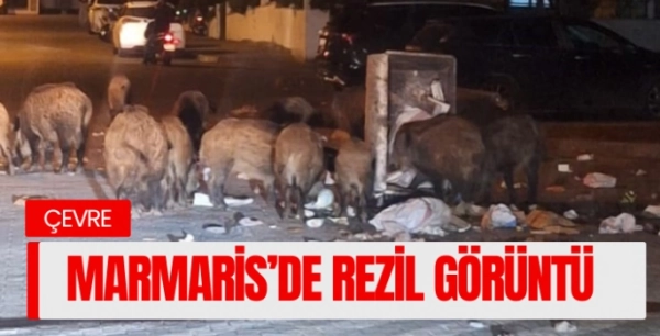 Marmaris'te rezil görüntü