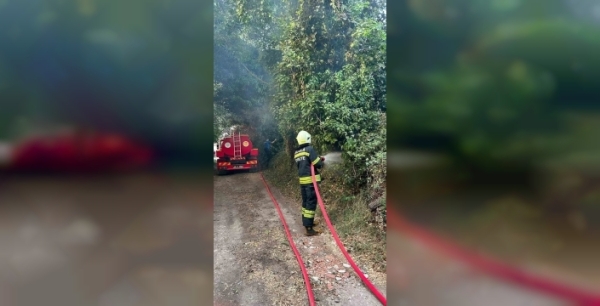 Menteşe'de çıkan ot yangını kısa sürede kontrol altına alındı