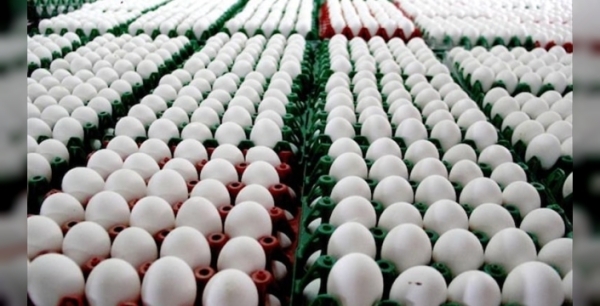 Milyonlarca yumurta salmonella riski nedeniyle geri çağrıldı