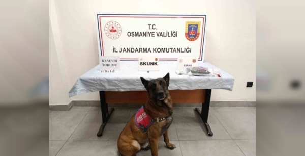 Osmaniye'de jandarma, bir haftada 99 şüpheliyi gözaltına aldı