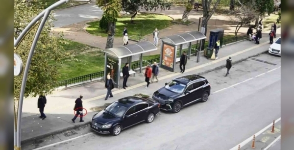 Samsun'da pitbull paniği: Yaşlı adamlar arasında çıkan gerilim kavgaya dönüşmeden önlendi