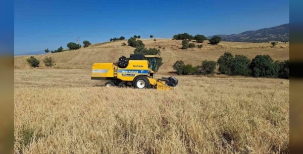 Sarıgöl'de arpa ve buğday hasadı zorluklarla başladı