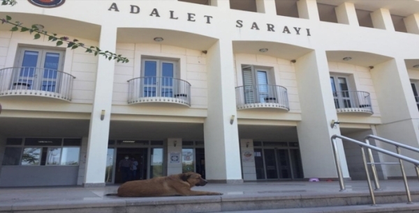 Serkan Aloğlu hakkında beraat kararı