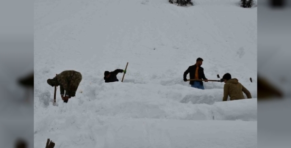 Şırnak'ta inanılmaz kurtarma: Çığ altındaki bal arıları gün yüzüne çıktı