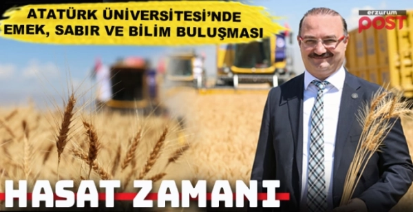 Atatürk Üniversitesinde hasat zamanı