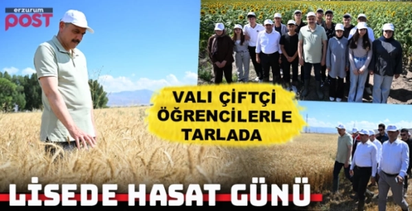  Azizizye Tarım Lisesi'nde buğday hasadı yapıldı