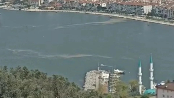 4 yıl aradan sonra Bursa'nın Gemlik Körfezi'nde müsilaj