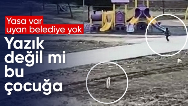 Adıyaman'da sokak köpekleri çocuğa saldırdı