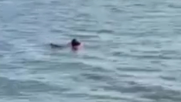 Ankara'da kendini göle atan adam korkuttu