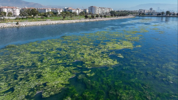 Bakanlıktan yeni proje: İzmir Körfezi 